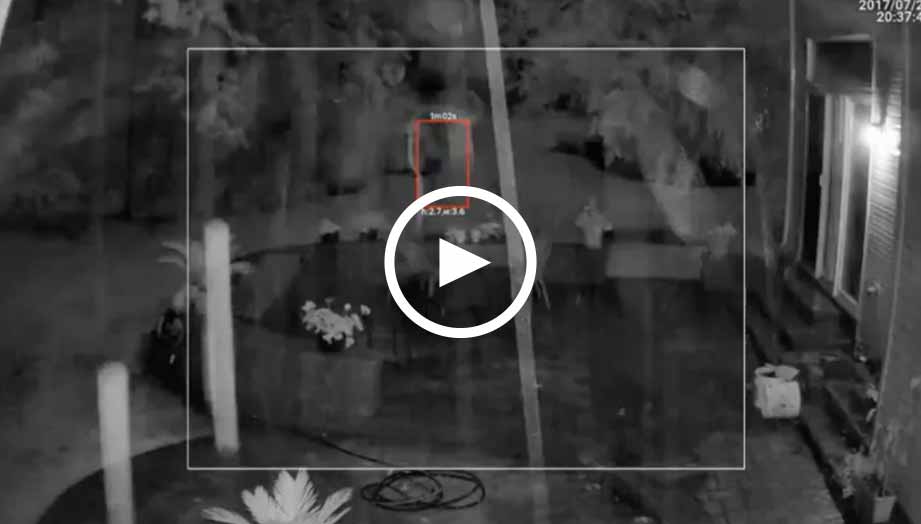 Accurate Detection in Heavy Rain